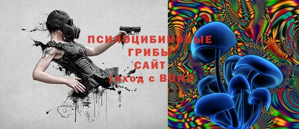 гашик Приозерск
